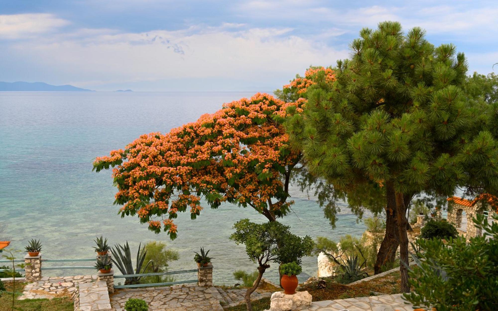 Kiparissi Villa Halkidiki 이에리소스 외부 사진